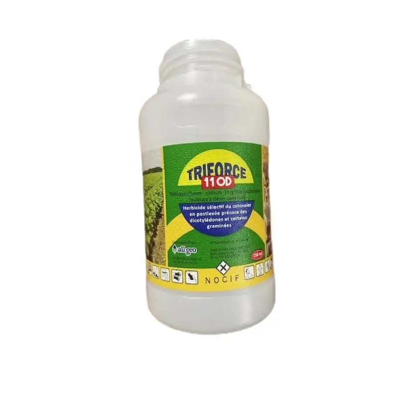 Top Iml Injection Molding Price List 6