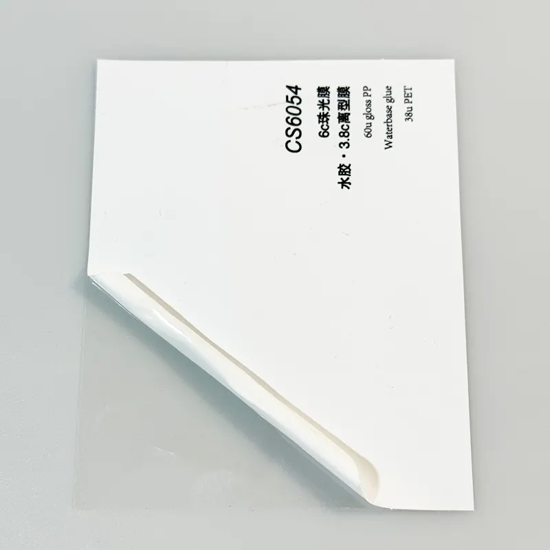 Self Adhesive Polypropylene Film Adhesive PP/PE Film Wholesale - HARDVOGUE 2