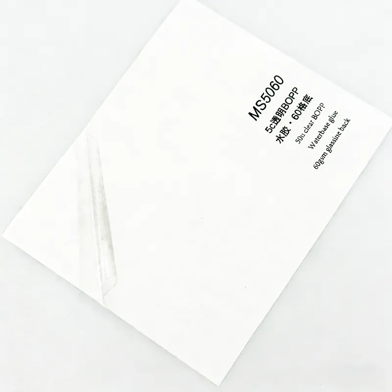 Adhesive PP/PE Film Self Adhesive Pe Film Suppliers 2