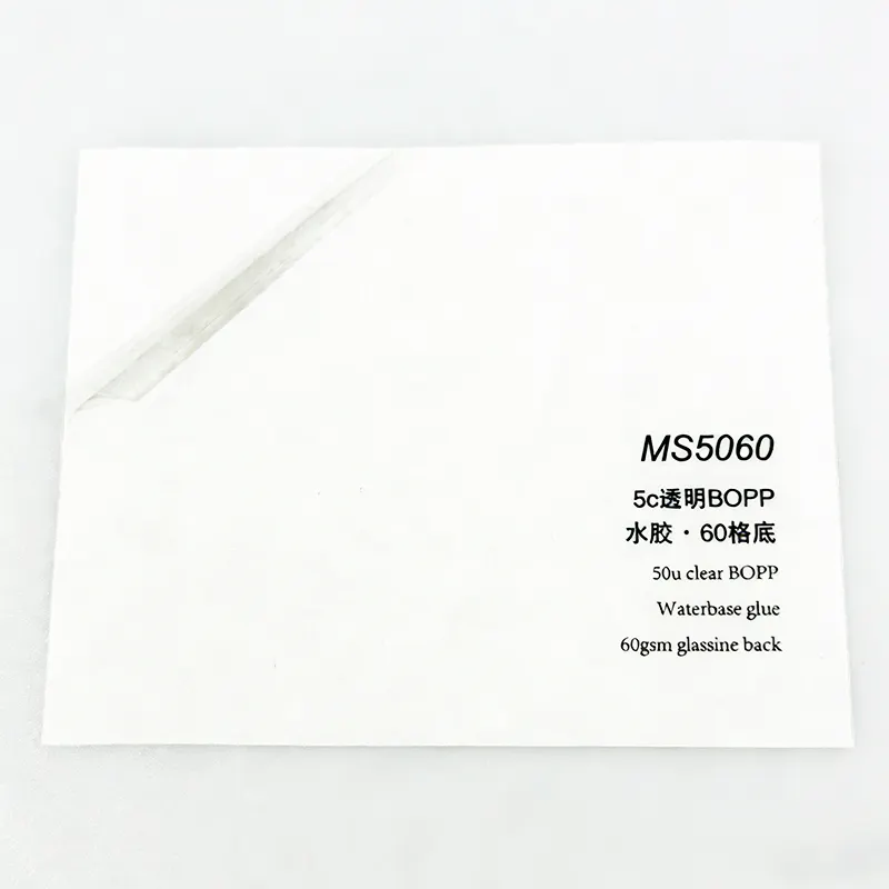 Adhesive PP/PE Film Self Adhesive Pe Film Suppliers 5